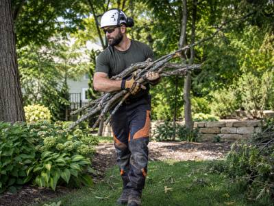 Dead branch section brought down from a backyard tree
