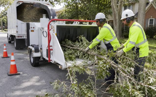Chipper running during a tree removal cleanup